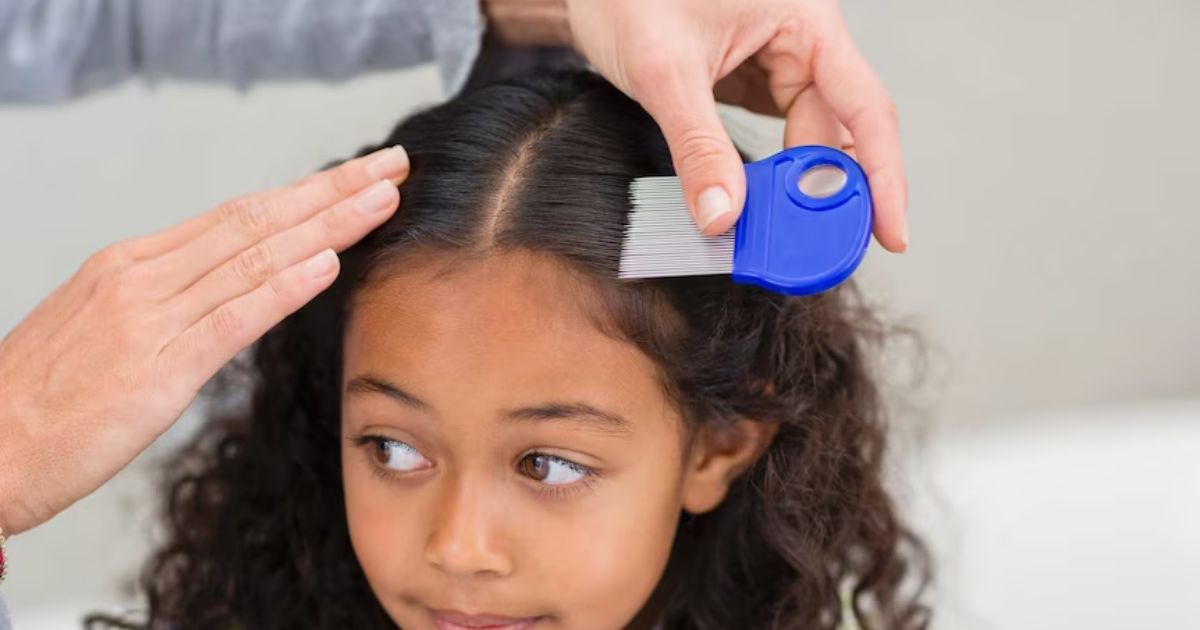 Head Lice Prevention for Curly Hair