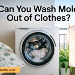Can You Wash Mold Out of Clothes? (Complete Step-by-Step Guide)