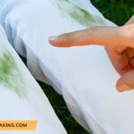 How to Get Grass Stains Out of Clothes? (7 Methods That Actually Work)