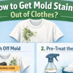 How to Get Mold Stains Out of Clothes? 6 Methods That Actually Work