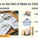 How to Get Rid of Mold on Clothes? Complete Step-by-Step Guide